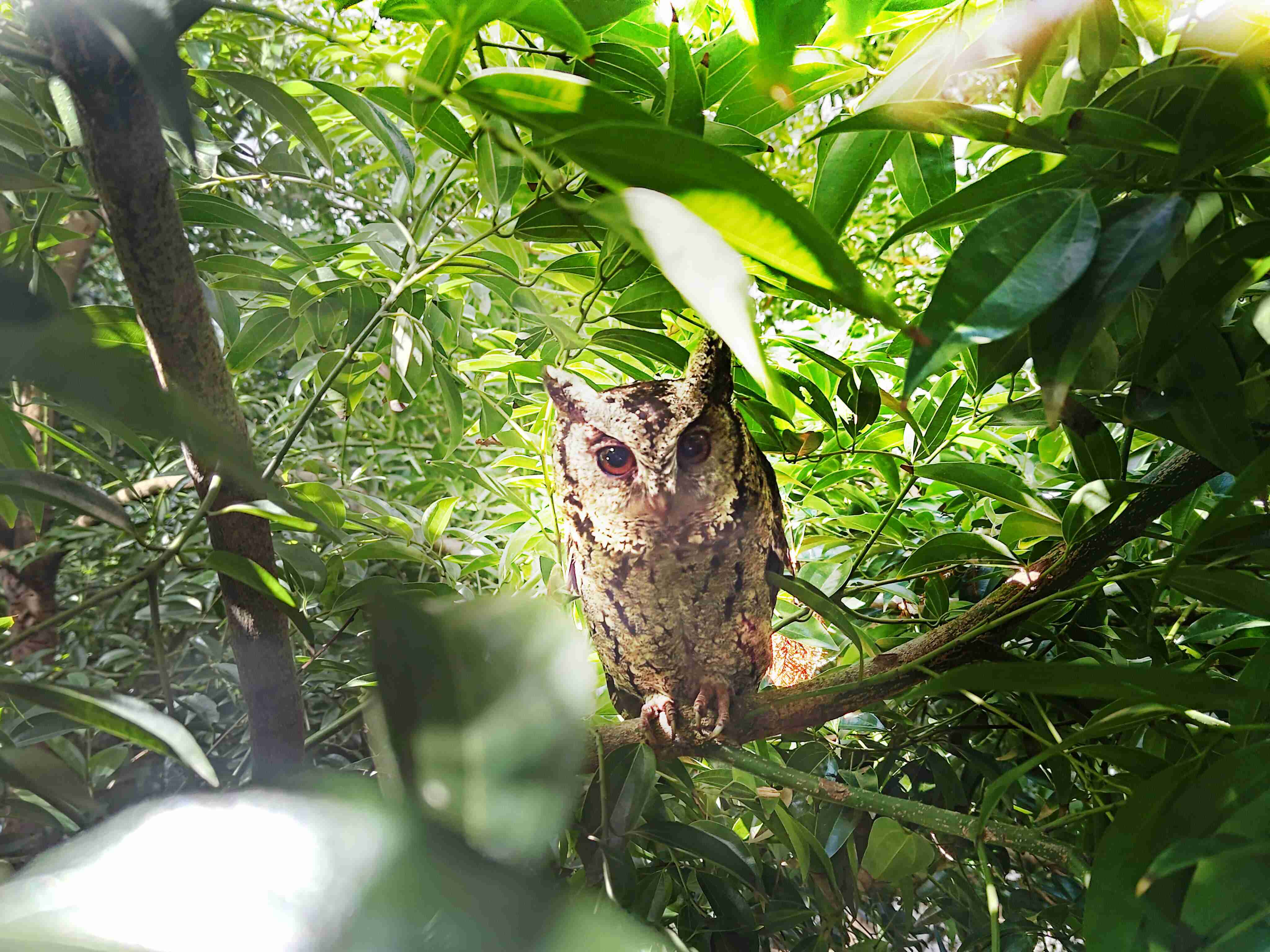 汇旺支付致力提倡净零绿生活，，，，16年以来在全球各厂区植树逾百万棵，，造就各厂区树木蔚然成林，，，犹如森林工厂，，成为许多生物的栖息地